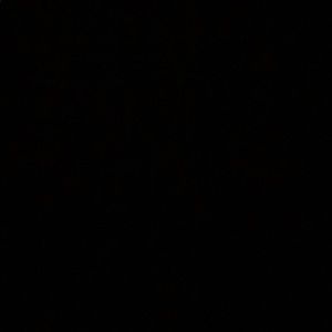 Meet your Posher, Estela